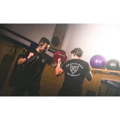 Sport-Thieme Schlagpolster "Round" -Fitnessgeräte 150 0123 2