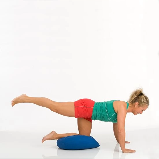 Togu Dynair Ballkissen "XXL" 7 Togu Dynair Ballkissen "XXL" – Bild 5